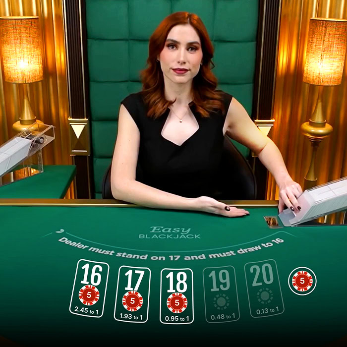 Online Casino Game: Easy BlackJack