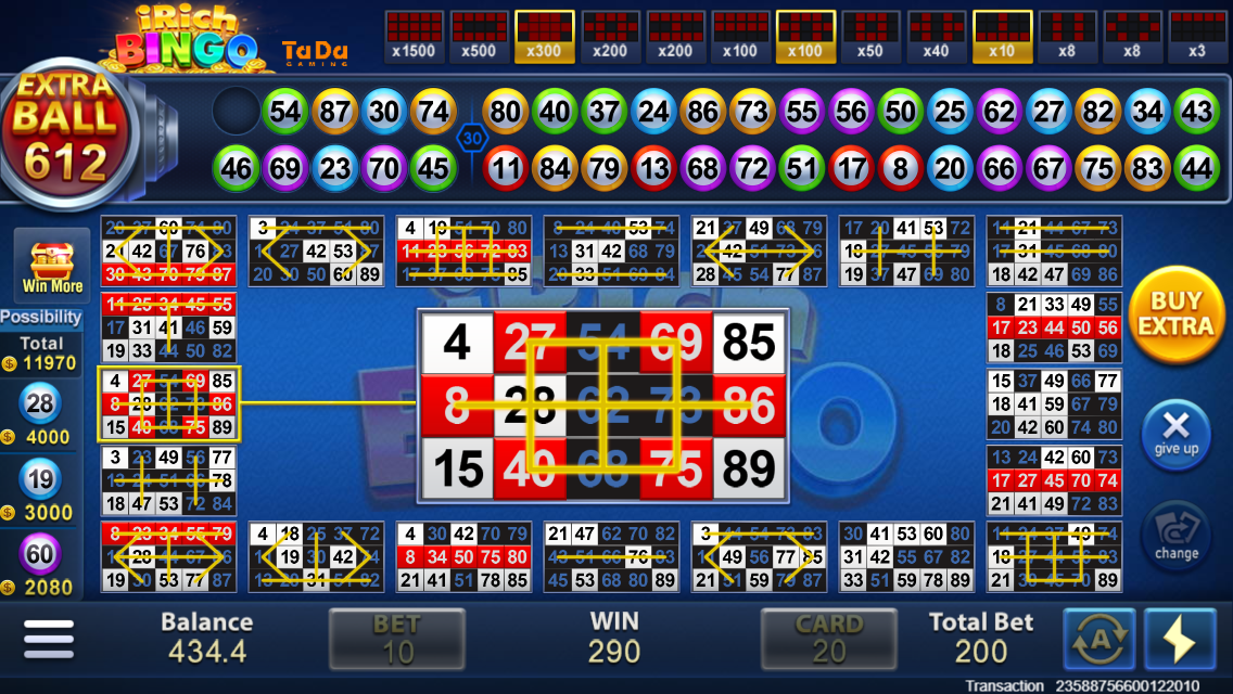 Online Casino Game: iRichBingo