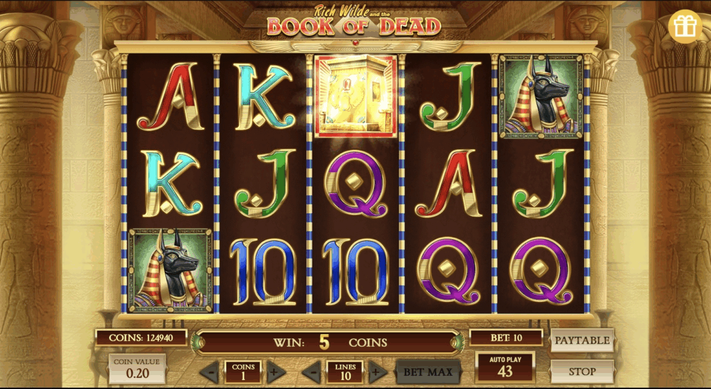 Book of Dead / Play'n GO