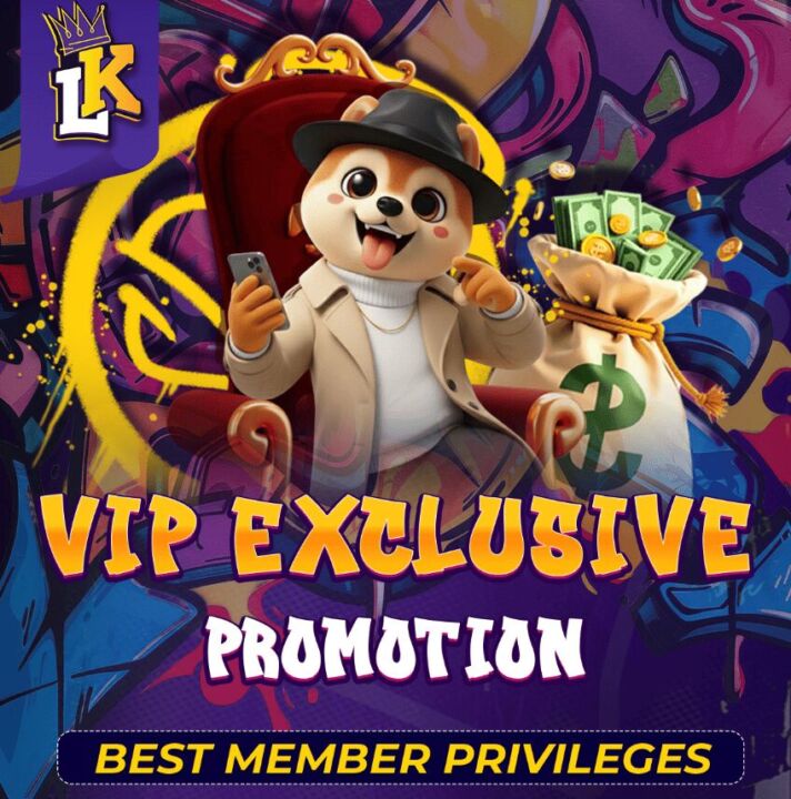 VIP EXCLUSIVE PROMOTION