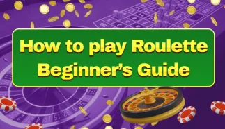 How to Play Roulette Beginner's Guide