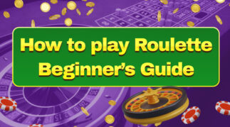 How to Play Roulette Beginner's Guide